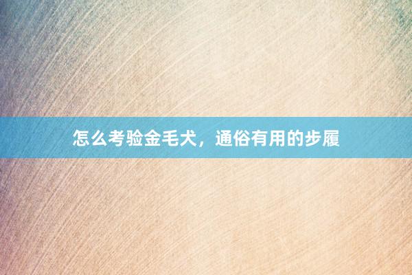 怎么考验金毛犬，通俗有用的步履